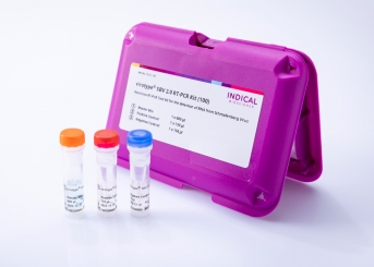 Product flyer virotype BVDV 2.0 RT-PCR Kit (November 2022, EN)