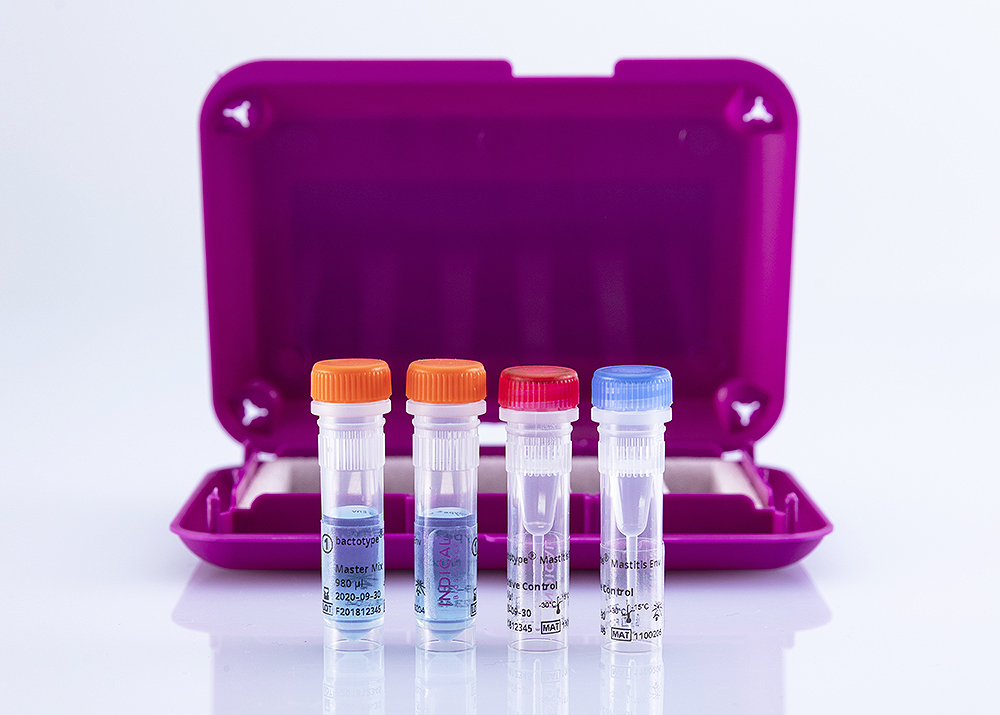 bactotype Mastitis Env PCR Kit