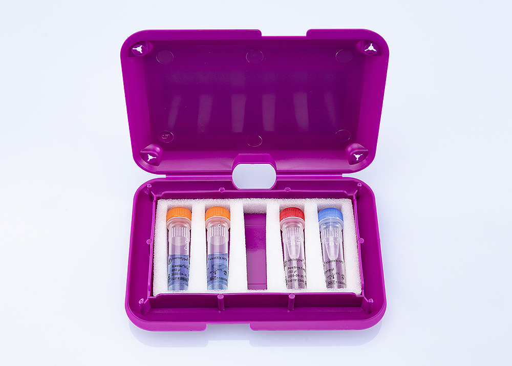 bactotype Mastitis HP3 PCR Kit