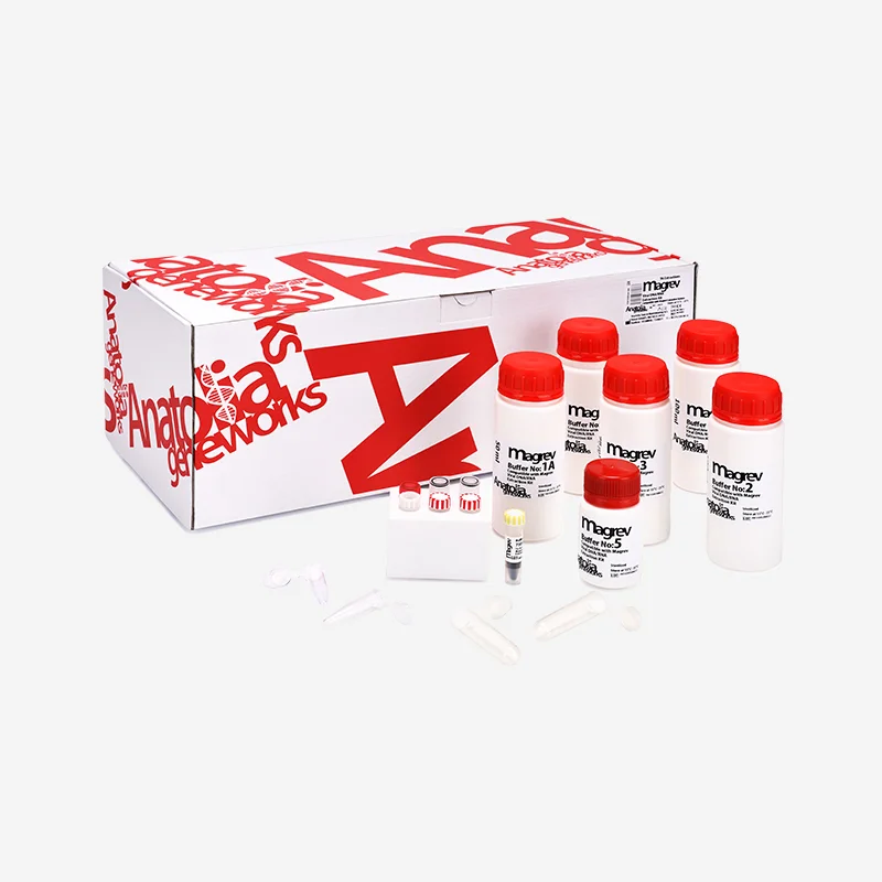 Magrev Whole Blood Genomic DNA Extraction Kit