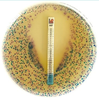 MTS™ - MIC Test Strip for antimicrobial susceptibility and resistance testing