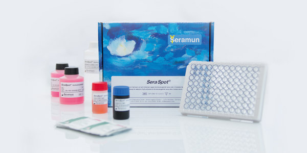 SeraSpot® Vaskulitis-3 IgG