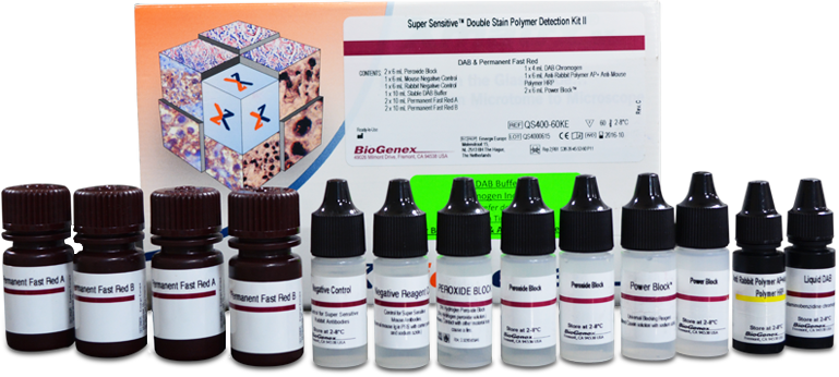 Detection Kit (Rabbit-HRP/Mouse AP)